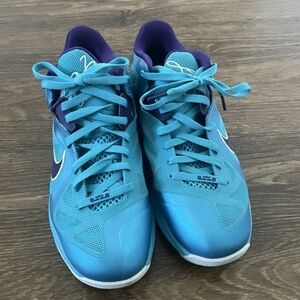 Nike Lebron 9 Low "Hornets"